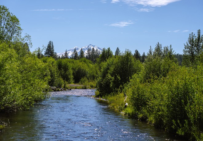 Join the Land Trust for Our Earth Month Challenge