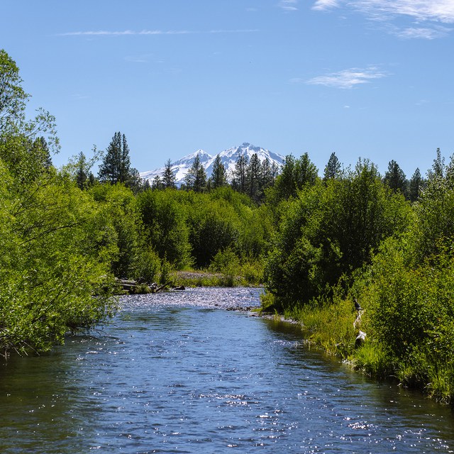 Join the Land Trust for Our Earth Month Challenge