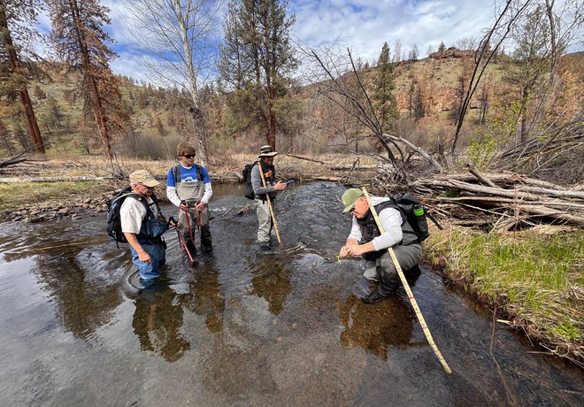 Fish Reintroduction Update 2026