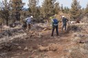 Late Fall Wildfire Recovery Update