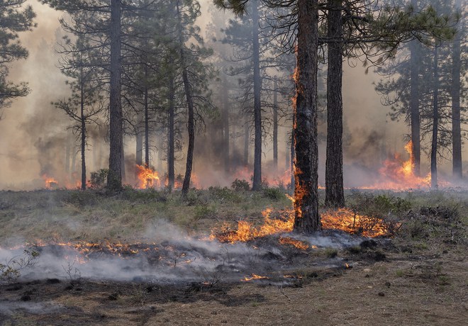 Prescribed Burn Planned for the Metolius Preserve