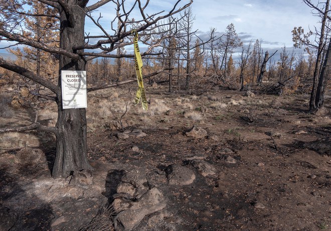 Whychus Canyon Preserve Update