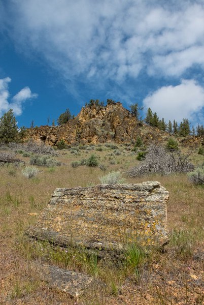 OWEB funding helped the Land Trust with Coffer Ranch. Photo: Douglas Vincent.