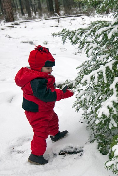Enjoy winter with a scavenger hunt! Photo: Jay Mather.