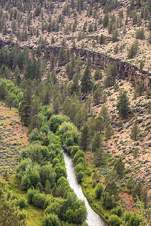 Whychus Creek passes through Whychus Canyon Preserve. Photo: Bruce Jackson.