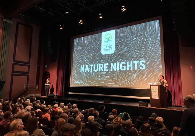 Nature Night Postering Help