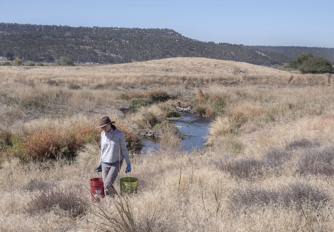 Ochoco Preserve Work Party