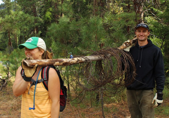 Wildlife Fencing Work Party