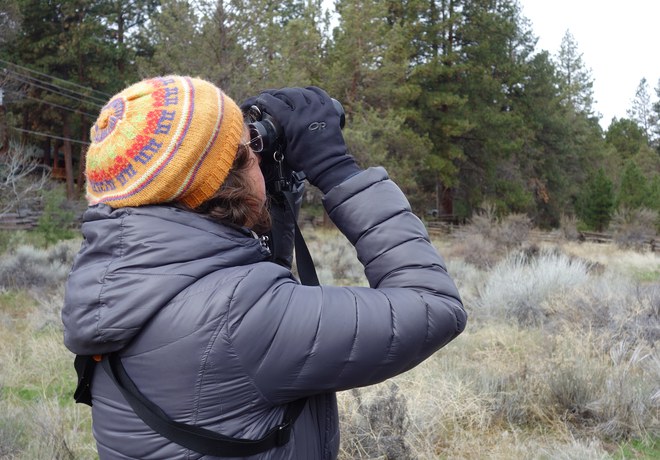 Bird Survey Site Orientation