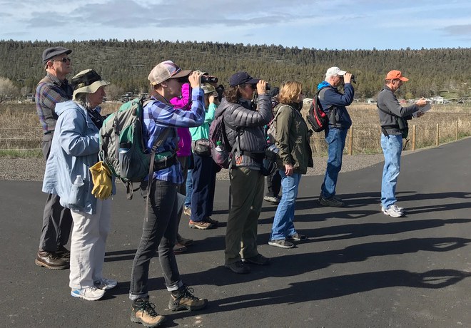 Bird Survey Site Orientation