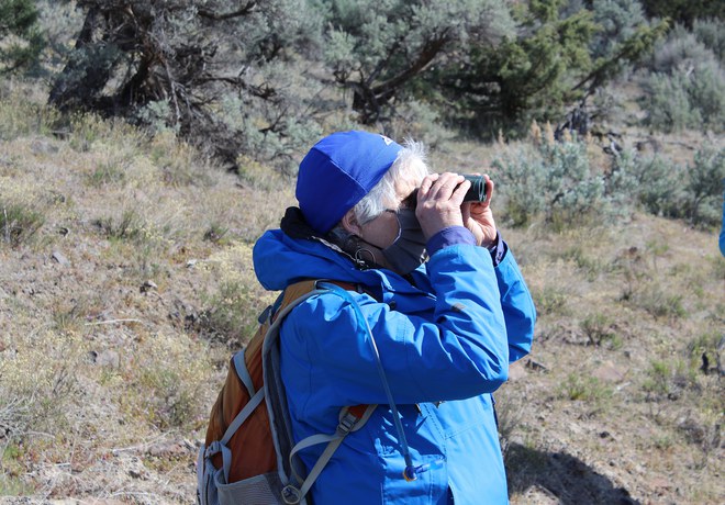 Bird Survey Site Orientation