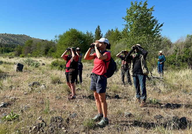 Bird Survey Site Orientation