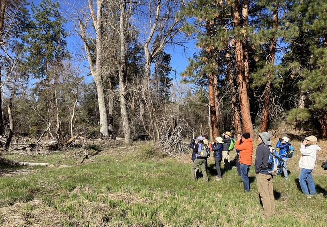 Bird Survey Site Orientation