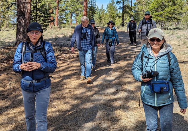 Bird Survey Site Orientation