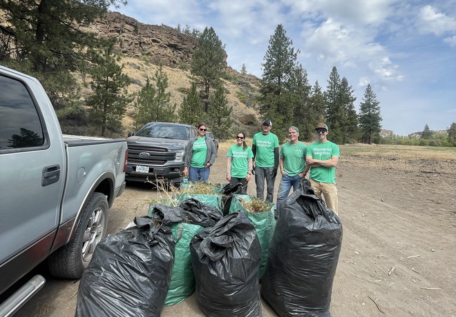 Litter Clean-Up
