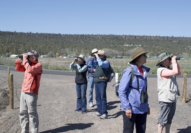 Bird Survey Site Orientation