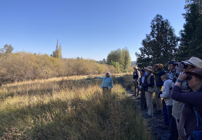 Bird Survey Site Orientation