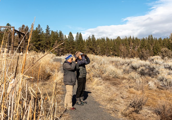 Bird Survey Site Orientation