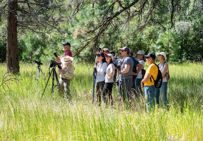 Bird Survey Site Orientation