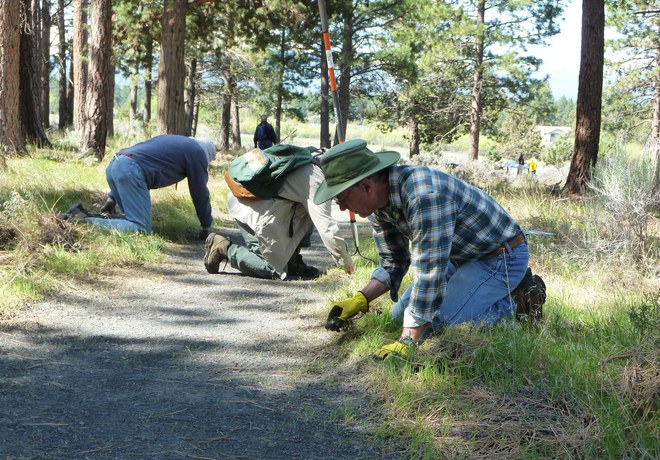 Trail Work Party