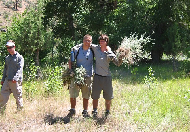 Weed Warriors