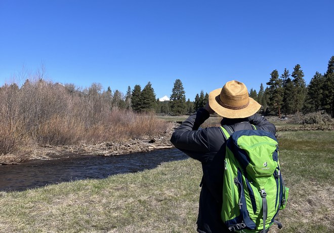 Bird Survey Site Orientation