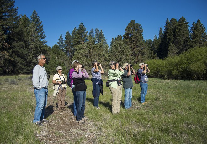 Bird Survey Site Orientation