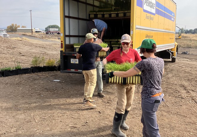 Plant Staging Party