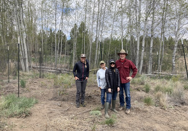 Aspen Fencing Work Party