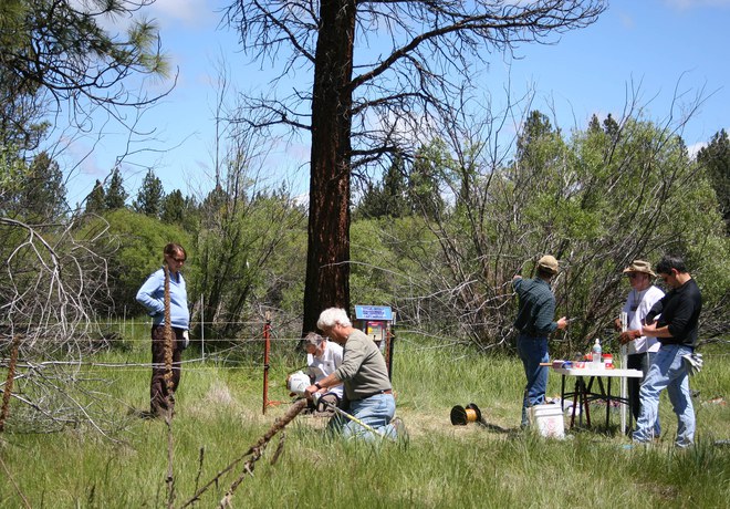 Aspen Fencing Work Party