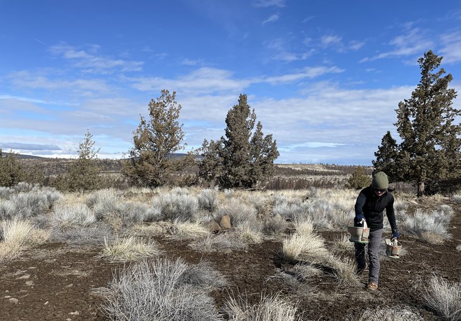 Fire Recovery Work Party