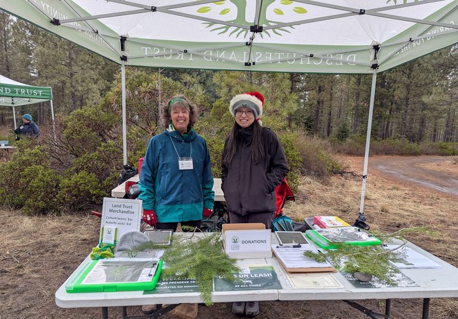 Tree Hunt Help Tree Hunt Help