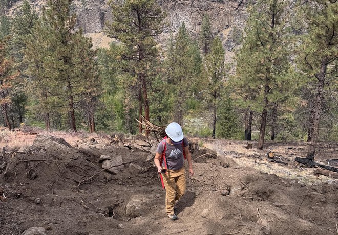 Wildfire Recovery Work Party